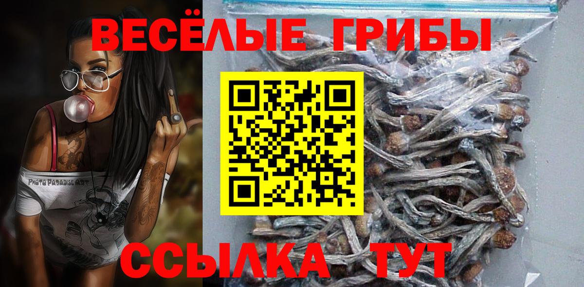 Галлюциногенные грибы MAGIC MUSHROOMS  Вход с VPN  Ногинск 